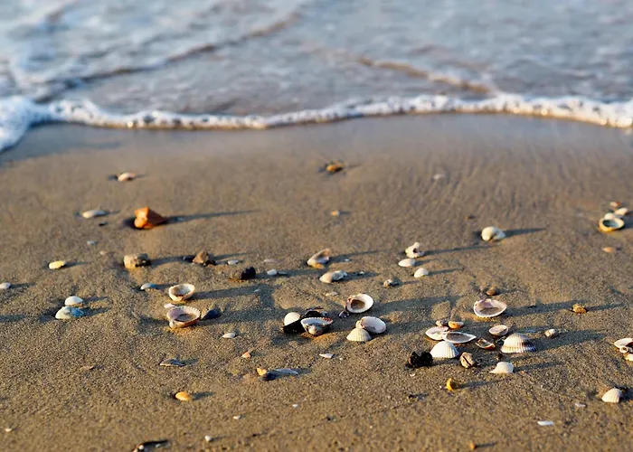 In 53196 بيبيوني